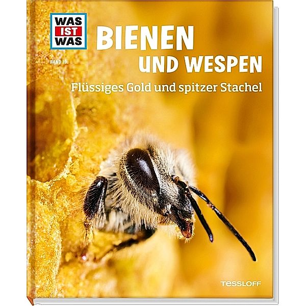 Bienen und Wespen / Was ist was Bd.19, Alexandra Rigos