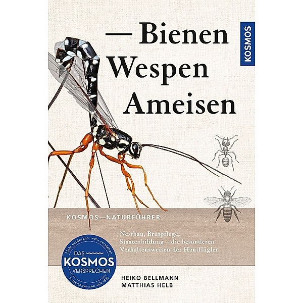 Bienen, Wespen, Ameisen, Heiko Bellmann, Matthias Helb