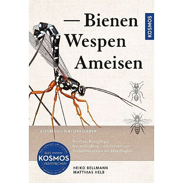 Bienen, Wespen, Ameisen, Heiko Bellmann, Matthias Helb