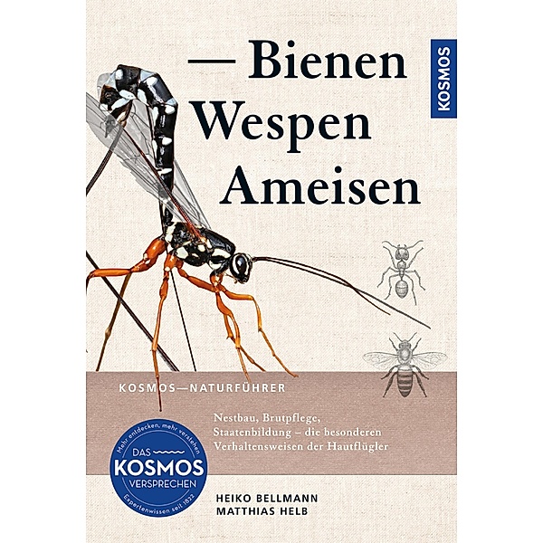 Bienen, Wespen, Ameisen, Heiko Bellmann, Matthias Helb