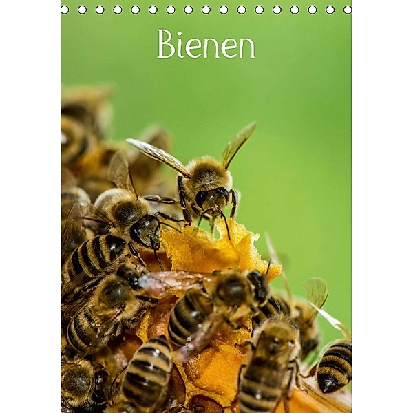 BienenAT-Version (Tischkalender 2018 DIN A5 hoch), Mark Bangert