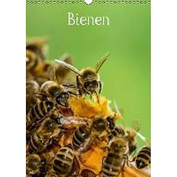 BienenAT-Version (Wandkalender 2015 DIN A3 hoch), Mark Bangert