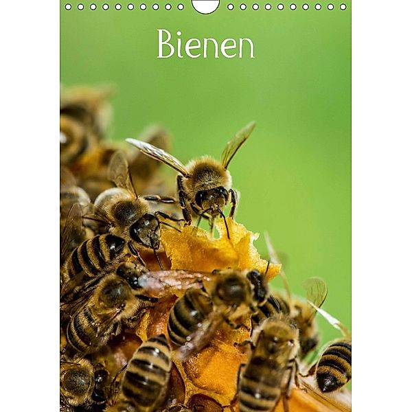BienenAT-Version (Wandkalender 2018 DIN A4 hoch), Mark Bangert
