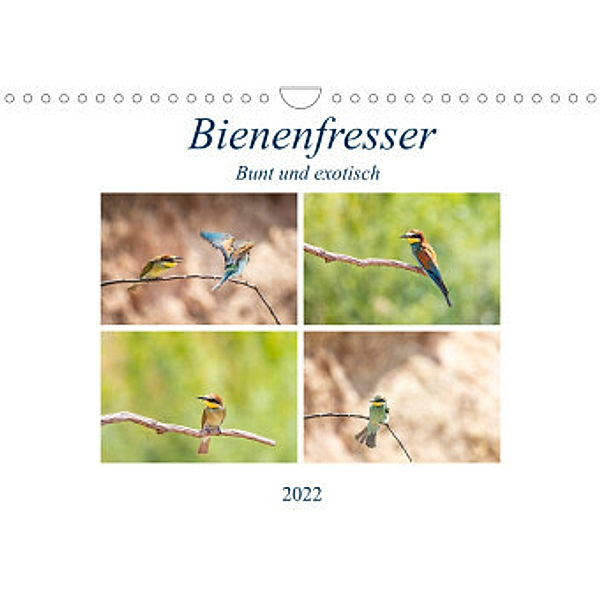 Bienenfresser - Bunt und exotisch (Wandkalender 2022 DIN A4 quer), Ursula Di Chito