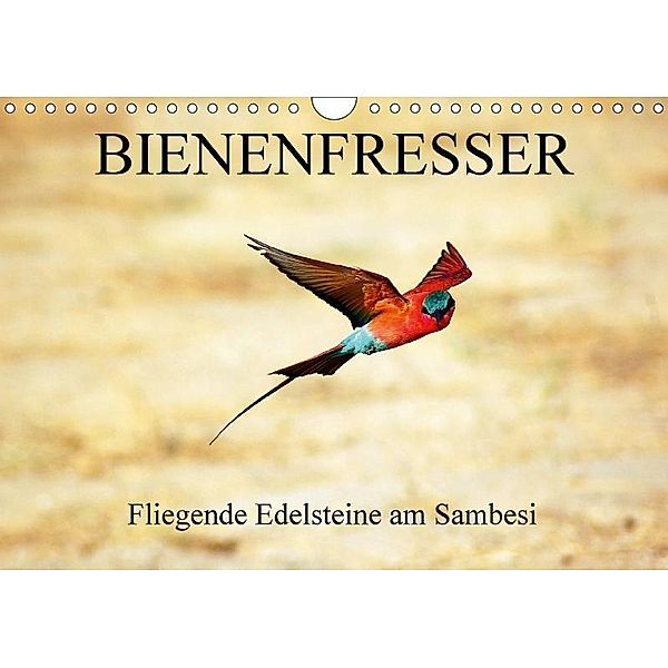 Bienenfresser - Fliegende Edelsteine am Sambesi (Wandkalender 2017 DIN A4 quer), Eduard Tkocz