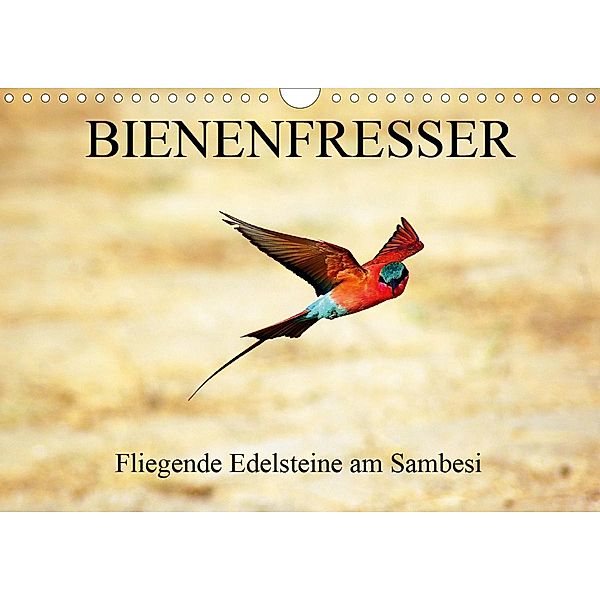 Bienenfresser - Fliegende Edelsteine am Sambesi (Wandkalender 2021 DIN A4 quer), Eduard Tkocz