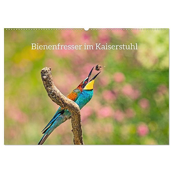 Bienenfresser im Kaiserstuhl (Wandkalender 2024 DIN A2 quer), CALVENDO Monatskalender, Ruth Namuth