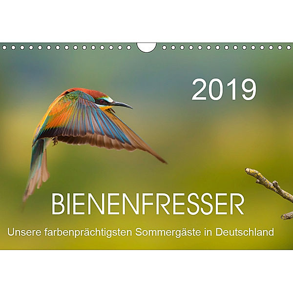 Bienenfresser, unsere farbenprächtigsten Sommergäste in Deutschland (Wandkalender 2019 DIN A4 quer), Thomas Will