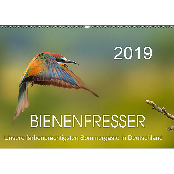 Bienenfresser, unsere farbenprächtigsten Sommergäste in Deutschland (Wandkalender 2019 DIN A2 quer), Thomas Will