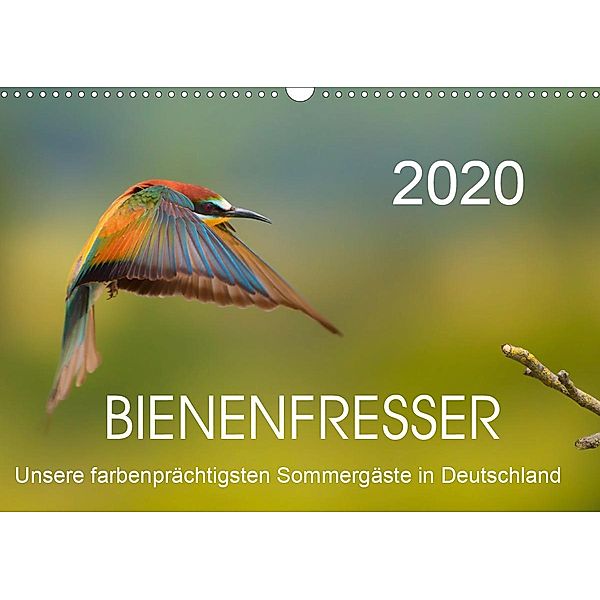 Bienenfresser, unsere farbenprächtigsten Sommergäste in Deutschland (Wandkalender 2020 DIN A3 quer), Thomas Will