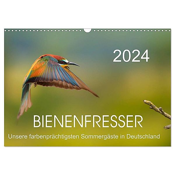 Bienenfresser, unsere farbenprächtigsten Sommergäste in Deutschland (Wandkalender 2024 DIN A3 quer), CALVENDO Monatskalender, Thomas Will