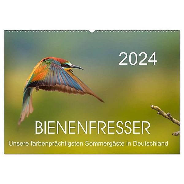 Bienenfresser, unsere farbenprächtigsten Sommergäste in Deutschland (Wandkalender 2024 DIN A2 quer), CALVENDO Monatskalender, Thomas Will