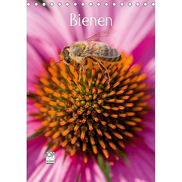 Bienenkalender (Tischkalender 2021 DIN A5 hoch), Mark Bangert
