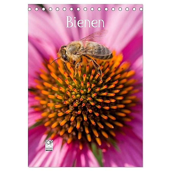 Bienenkalender (Tischkalender 2024 DIN A5 hoch), CALVENDO Monatskalender, Mark Bangert