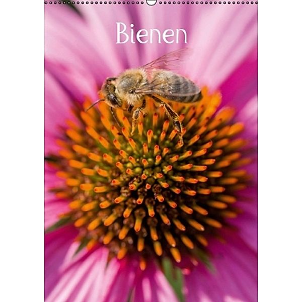 Bienenkalender (Wandkalender 2016 DIN A2 hoch), Mark Bangert