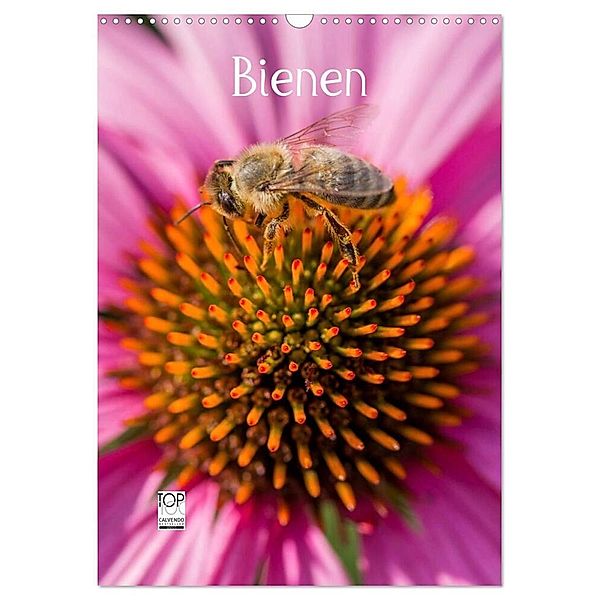 Bienenkalender (Wandkalender 2024 DIN A3 hoch), CALVENDO Monatskalender, Mark Bangert
