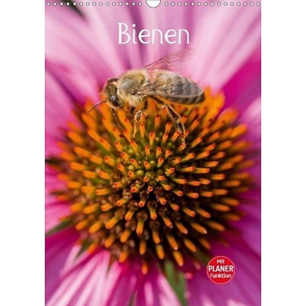 Bienenplaner (Wandkalender 2020 DIN A3 hoch), Mark Bangert