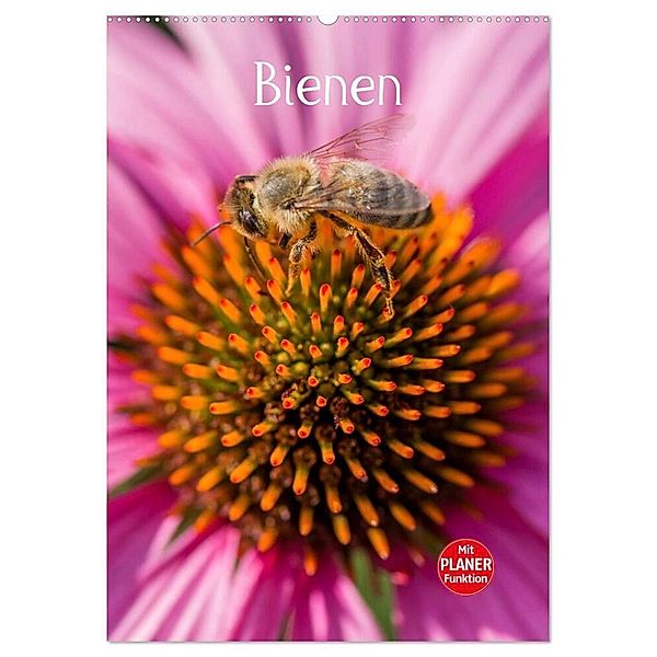 Bienenplaner (Wandkalender 2024 DIN A2 hoch), CALVENDO Monatskalender, Mark Bangert