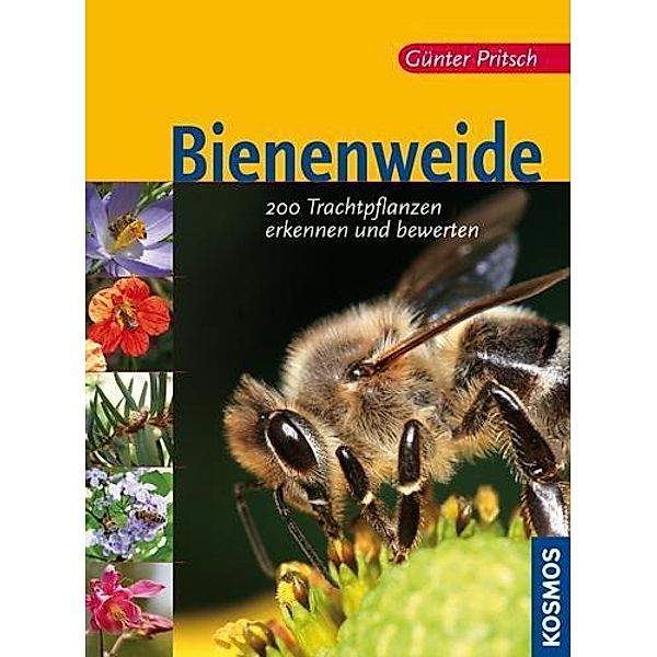 Bienenweide, Günter Pritsch