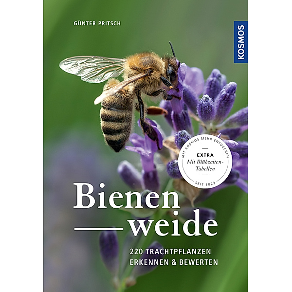 Bienenweide, Günter Pritsch