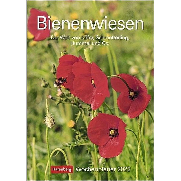 Bienenwiesen 2022