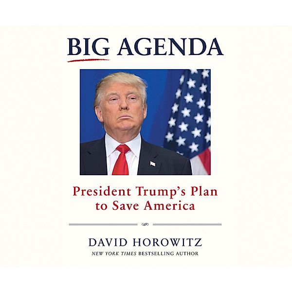 Big Agenda, David Horowitz