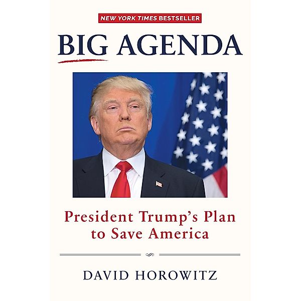 Big Agenda, David Horowitz