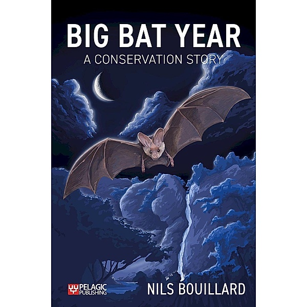 Big Bat Year, Nils Bouillard