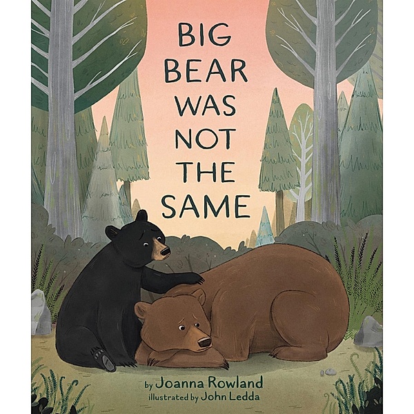 Big Bear Was Not the Same, Joanna Rowland