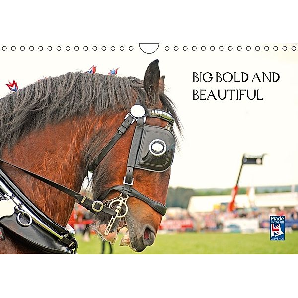 BIG BOLD AND BEAUTIFUL (Wall Calendar 2018 DIN A4 Landscape), WT images