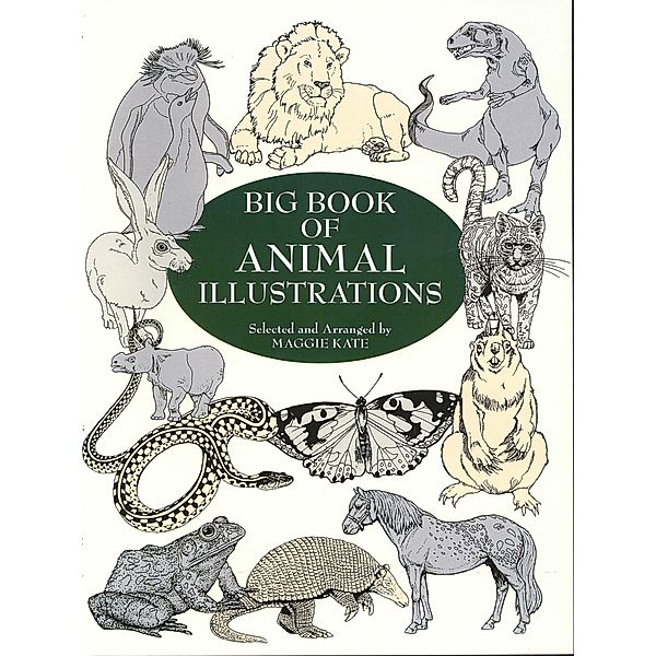 Big Book of Animal Illustrations