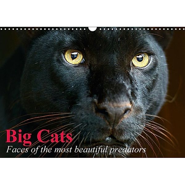Big Cats - Faces of the most beautiful predators (Wall Calendar 2017 DIN A3 Landscape), Elisabeth Stanzer