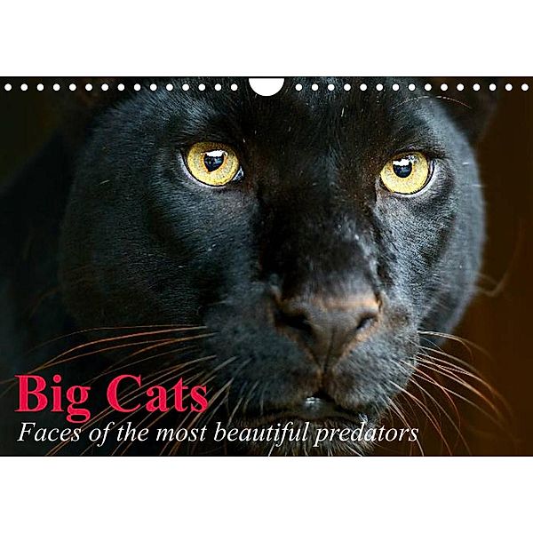 Big Cats - Faces of the most beautiful predators (Wall Calendar 2023 DIN A4 Landscape), Elisabeth Stanzer