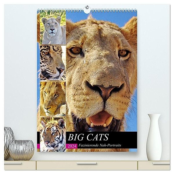 BIG CATS Fazinierende Nah-Portraits (hochwertiger Premium Wandkalender 2024 DIN A2 hoch), Kunstdruck in Hochglanz, Barbara Fraatz