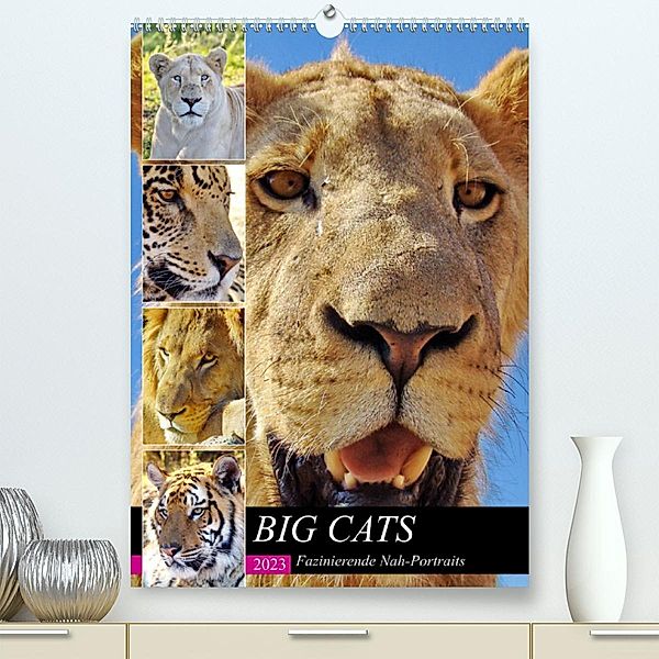 BIG CATS Fazinierende Nah-Portraits (Premium, hochwertiger DIN A2 Wandkalender 2023, Kunstdruck in Hochglanz), Barbara Fraatz