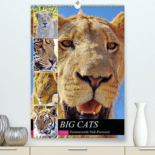 BIG CATS Fazinierende Nah-Portraits (Premium-Kalender 2020 DIN A2 hoch), Barbara Fraatz
