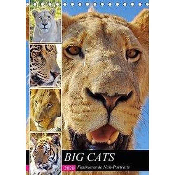 BIG CATS Fazinierende Nah-Portraits (Tischkalender 2020 DIN A5 hoch), Barbara Fraatz