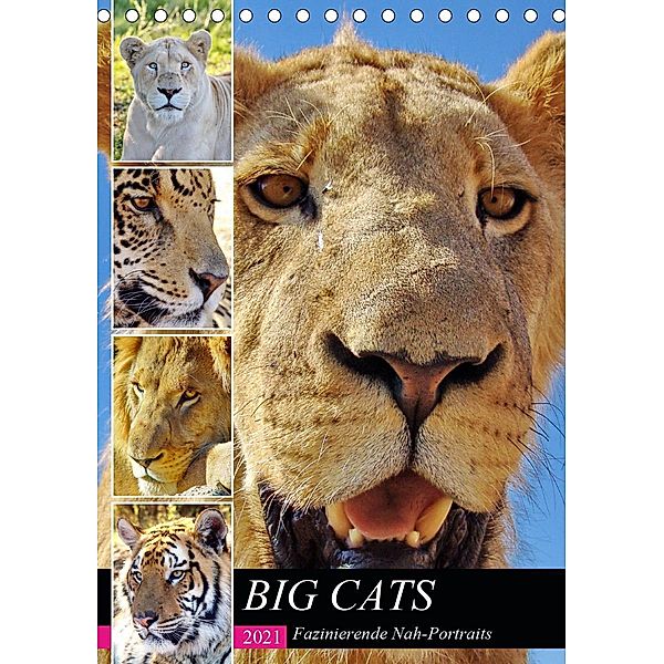 BIG CATS Fazinierende Nah-Portraits (Tischkalender 2021 DIN A5 hoch), Barbara Fraatz