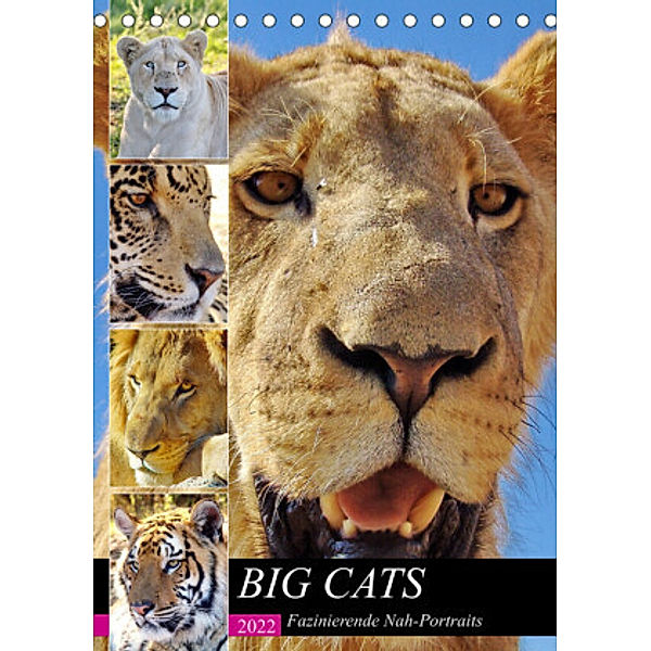 BIG CATS Fazinierende Nah-Portraits (Tischkalender 2022 DIN A5 hoch), Barbara Fraatz