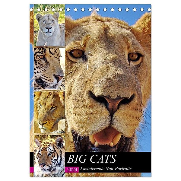 BIG CATS Fazinierende Nah-Portraits (Tischkalender 2024 DIN A5 hoch), CALVENDO Monatskalender, Barbara Fraatz