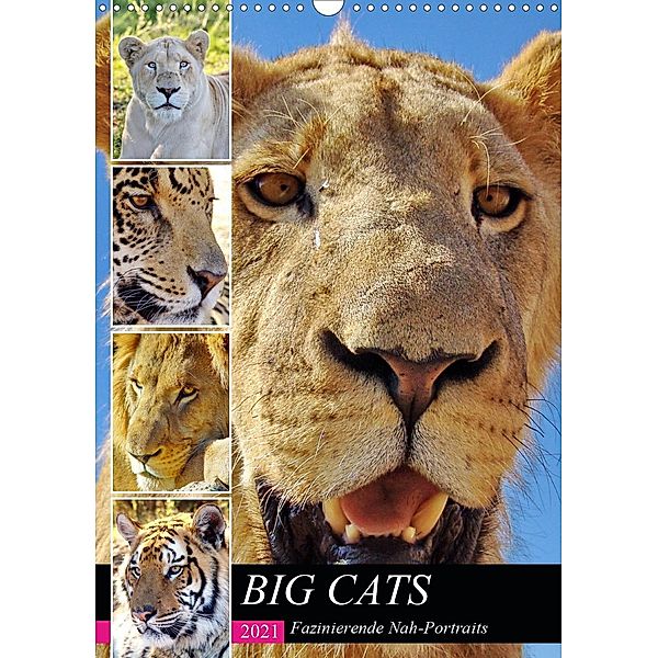 BIG CATS Fazinierende Nah-Portraits (Wandkalender 2021 DIN A3 hoch), Barbara Fraatz