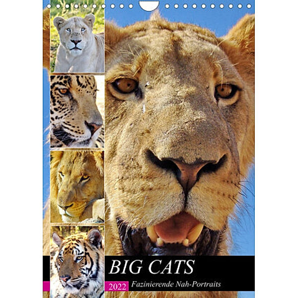 BIG CATS Fazinierende Nah-Portraits (Wandkalender 2022 DIN A4 hoch), Barbara Fraatz