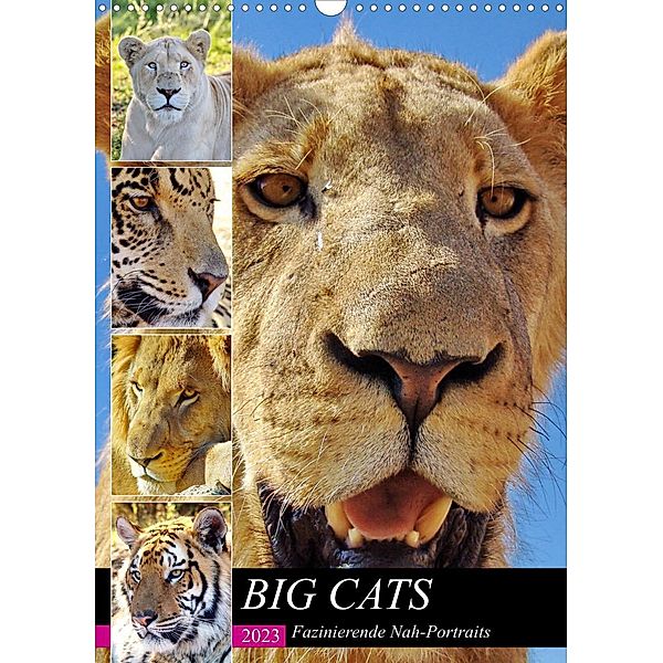 BIG CATS Fazinierende Nah-Portraits (Wandkalender 2023 DIN A3 hoch), Barbara Fraatz