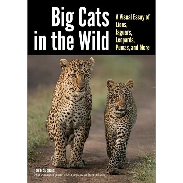 Big Cats in The Wild, Joe Mcdonald