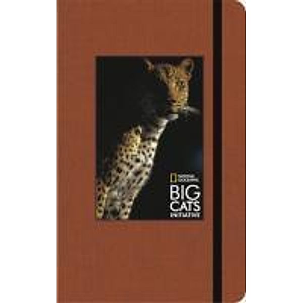 BIG CATS LARGE(9781601607898)