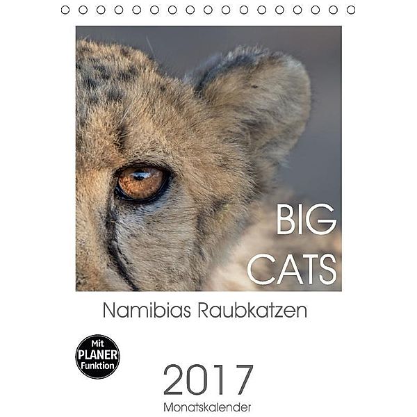 BIG CATS - Namibias Raubkatzen (Tischkalender 2017 DIN A5 hoch), Irma van der Wiel