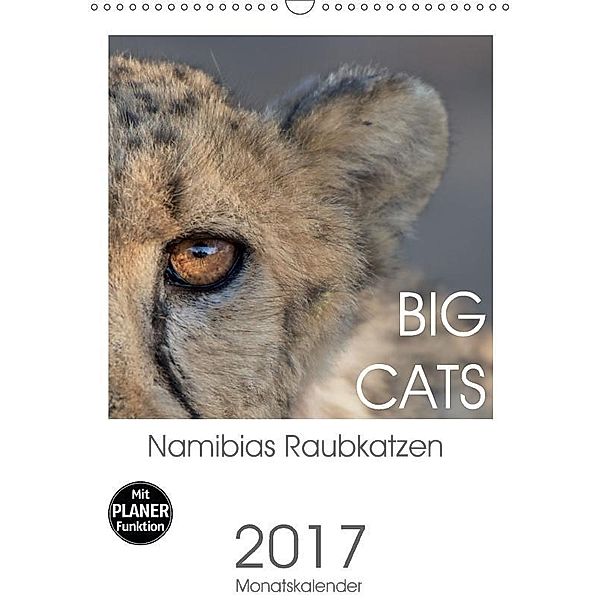 BIG CATS - Namibias Raubkatzen (Wandkalender 2017 DIN A3 hoch), Irma van der Wiel