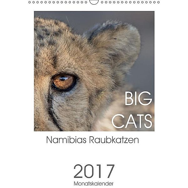 BIG CATS - Namibias Raubkatzen (Wandkalender 2017 DIN A3 hoch), Irma van der Wiel