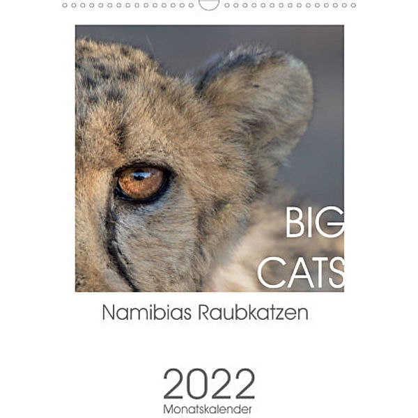 BIG CATS - Namibias Raubkatzen (Wandkalender 2022 DIN A3 hoch), Irma van der Wiel