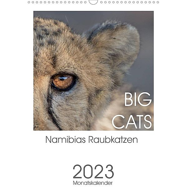 BIG CATS - Namibias Raubkatzen (Wandkalender 2023 DIN A3 hoch), Irma van der Wiel